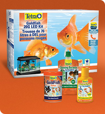 Tetra 2024 fish supplies